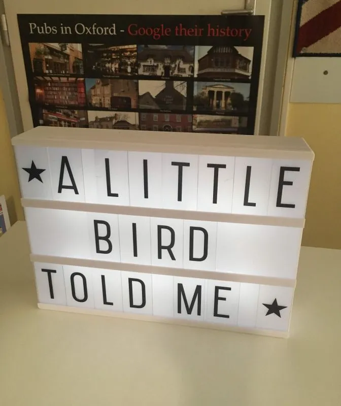 a little bird told me